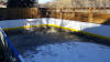21 x 41 backyard court & rink with boards